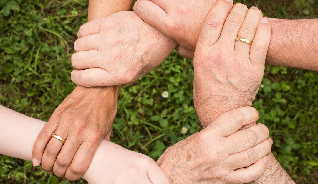 A group of hands and arms grasping each other