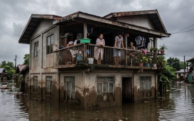 When Typhoons Hit Your Wallet